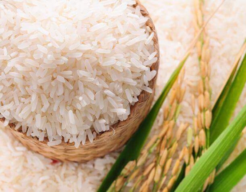 Indian Non-Basmati Rice